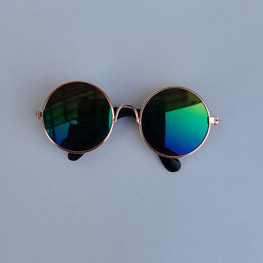 Pup Swag Vibrant Shades