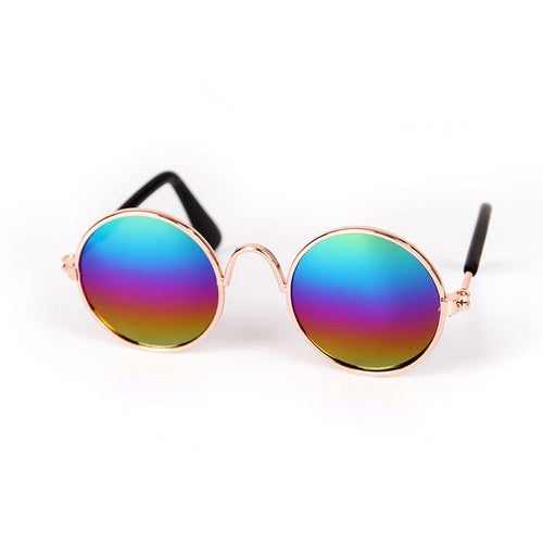 Pup Swag Vibrant Shades