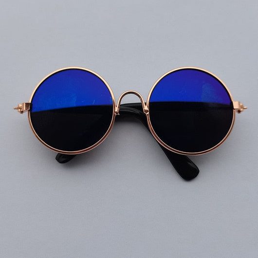 Pup Swag Vibrant Shades