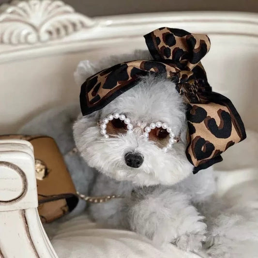 Canine Shades Squad Doggos Fancy Sunglasses