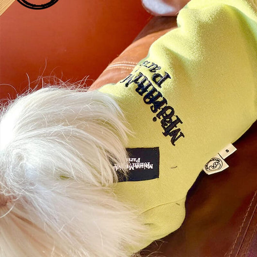 Cool Dog Flash Sweatshirt