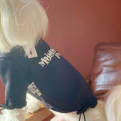 Cool Dog Flash Sweatshirt