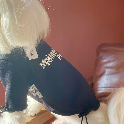 Cool Dog Flash Sweatshirt
