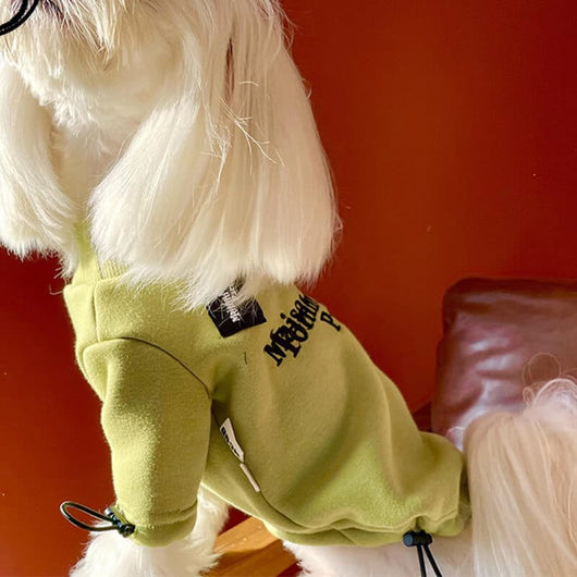 Cool Dog Flash Sweatshirt