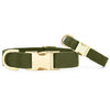 Premium Olive Dog Collar