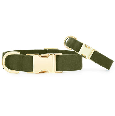 Olive green dog collar with gold hardware and soft fabric design for everyday walks