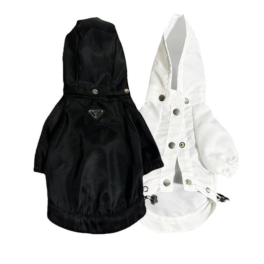 Stylish Coat Rare Dog