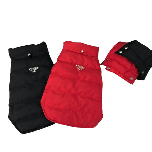 Designer Winter Jacket For FancyDogs