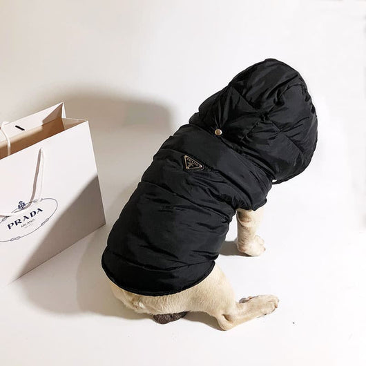 Designer Winter Jacket For FancyDogs