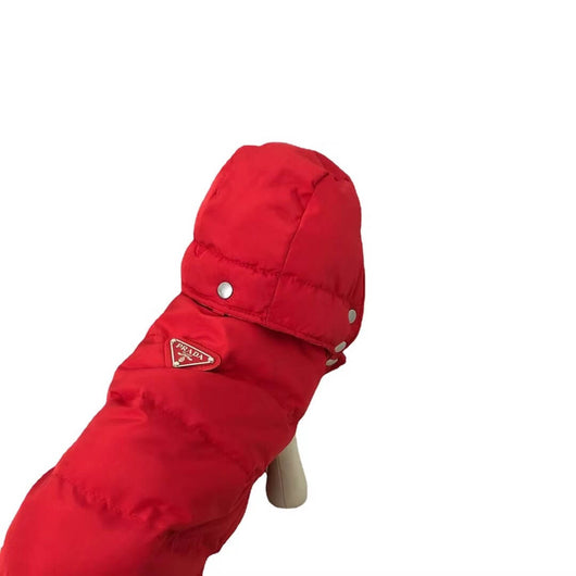 Designer Winter Jacket For FancyDogs