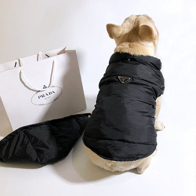 Designer Winter Jacket For FancyDogs