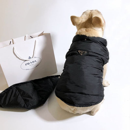 Designer Winter Jacket For FancyDogs