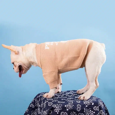Prada Dog Lo-fi Sweater