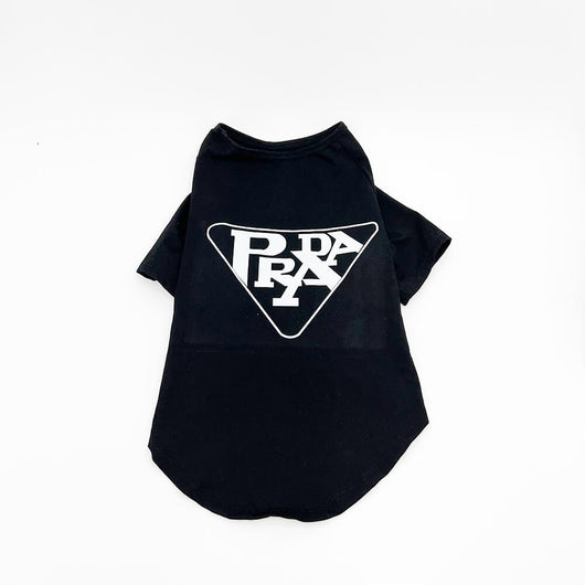 Black Dog Golden Sweatshirt