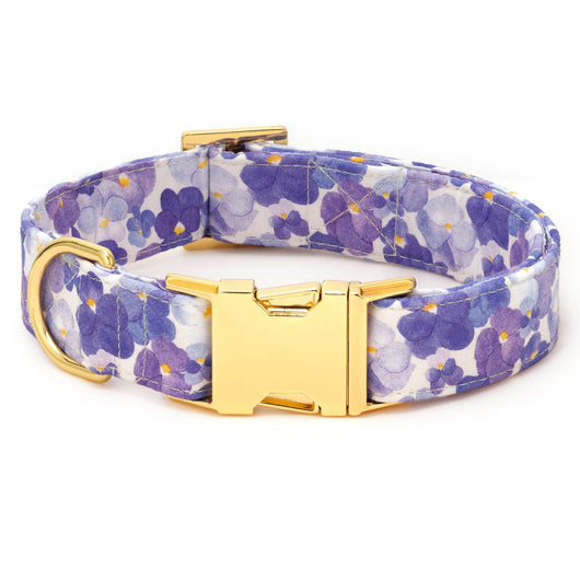 Pressed Pansies Bow Collar