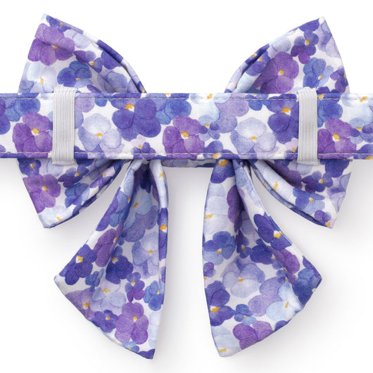 Pressed Pansies Bow Collar