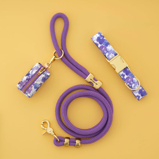 Pressed Pansies Walk Set
