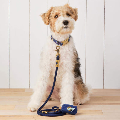 Ocean Blue Nylon Rope Dog Leash