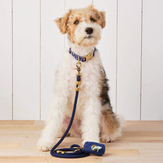 Ocean Blue Nylon Rope Dog Leash