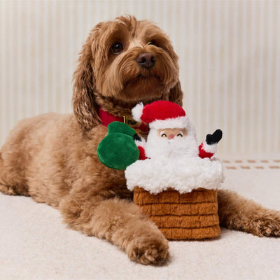 Santa Snuffle Dog Toy