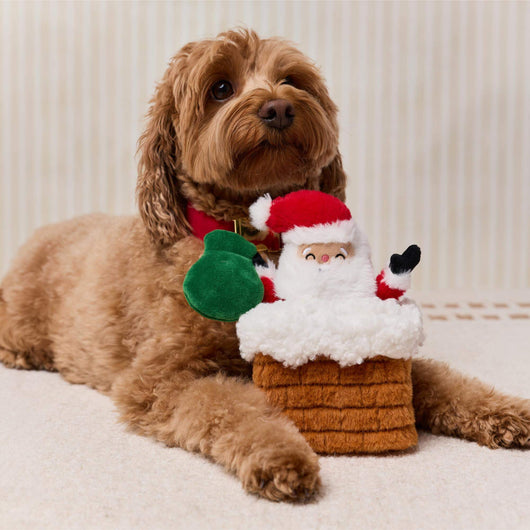 Santa Snuffle Dog Toy