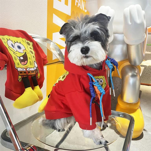 Small Dog Cute Designer Clothes