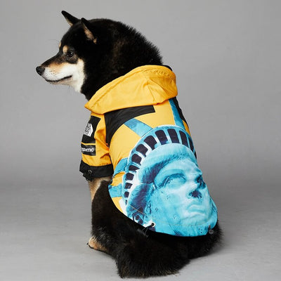 The Best New Dog Rain Flex Jacket