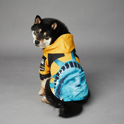 The Best New Dog Rain Flex Jacket