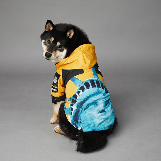 The Best New Dog Rain Flex Jacket