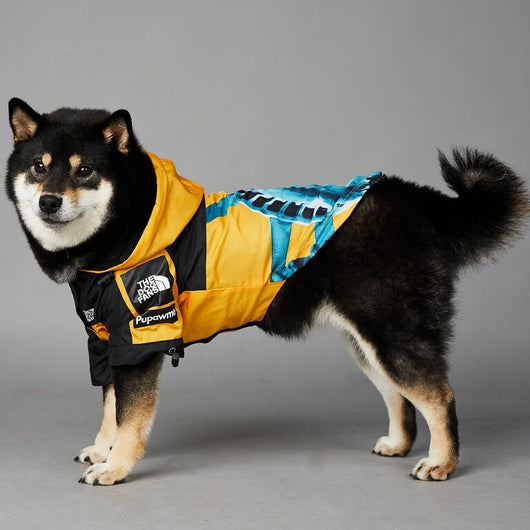 The Best New Dog Rain Flex Jacket