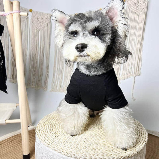Custom Dog Washed Clothes
