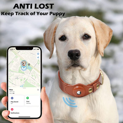 Highend Airtag Dog Amped Collar