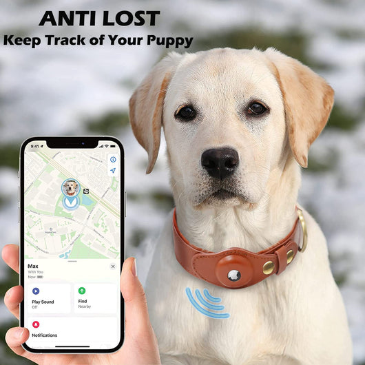 Highend Airtag Dog Amped Collar