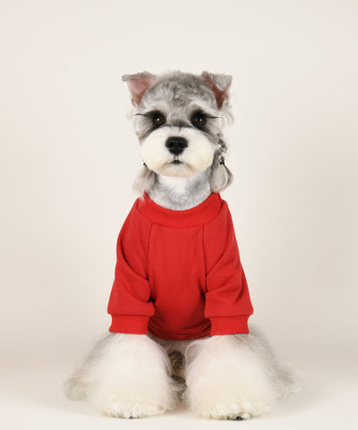 Pet Dog Iconic Clothes