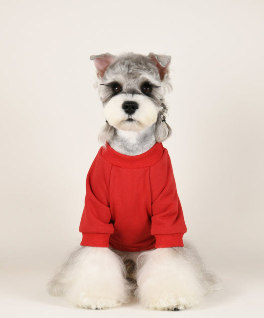 Pet Dog Iconic Clothes