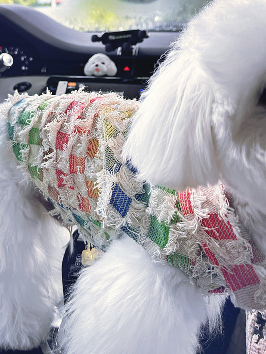 Pet Dog Wavy Clothes