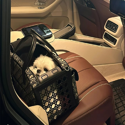 Pet Flex Bag