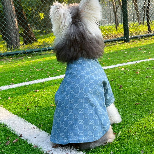 Pet Dog Snatched Clothes