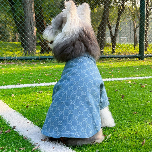 Pet Dog Snatched Clothes
