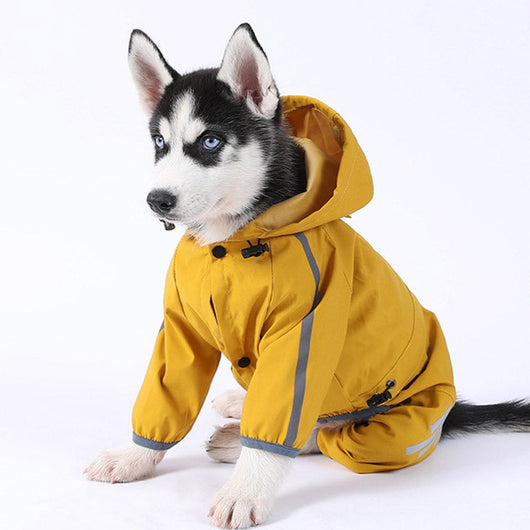 Dog Tracksuit Crisp Raincoat