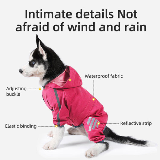 Dog Tracksuit Crisp Raincoat