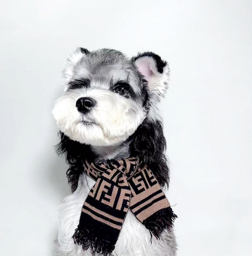 Pendog Brown Flex Scarf