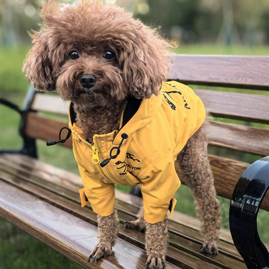 Large Dogs Designer Rain Tactile Jacket