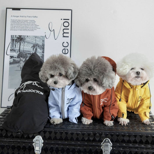 Large Dogs Designer Rain Tactile Jacket