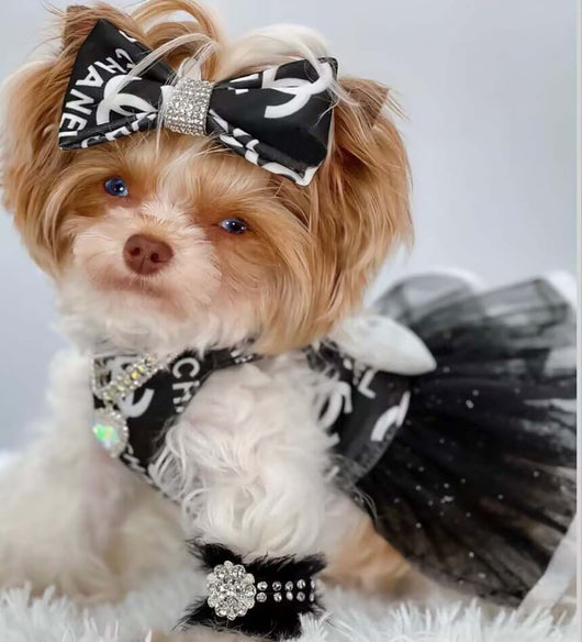 CC Cute Doggo Iconic Dresses