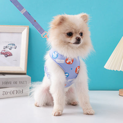 Mickey Lux Drip Harness & Leash Lit Set