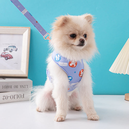Mickey Lux Drip Harness & Leash Lit Set
