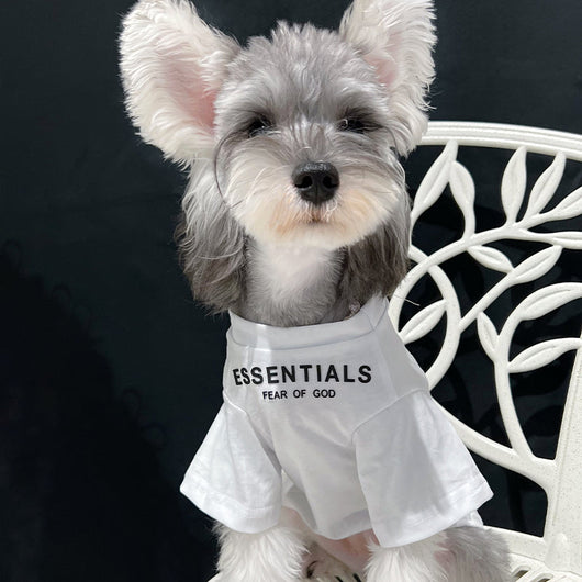 Pet Dog Lo-fi Clothes