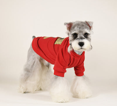 Pet Dog Iconic Clothes