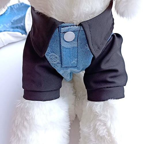 Designer Small Dog Vibrant Dresses